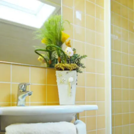 Vienna Отель 3*